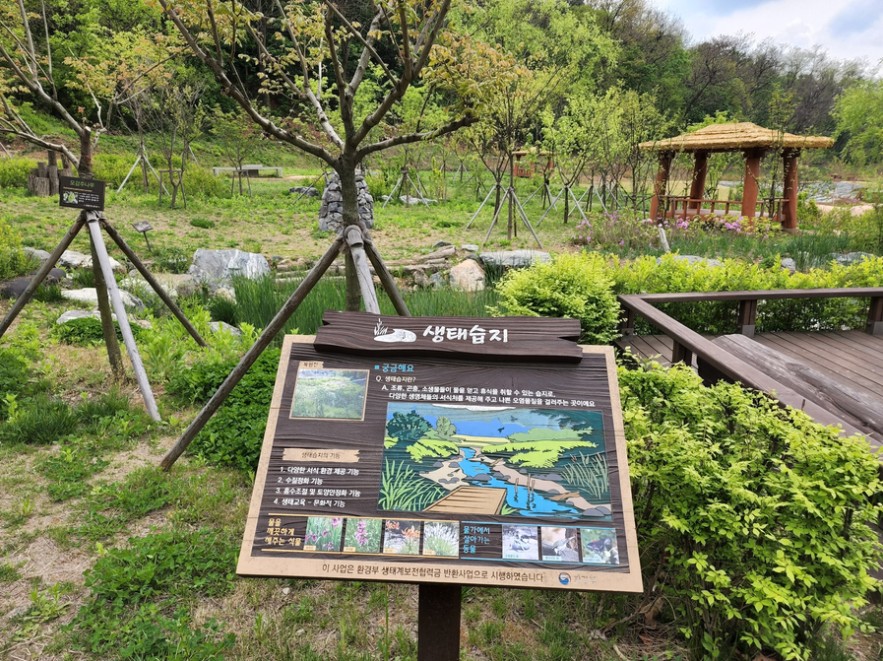 천왕산 생태공원 전경 4